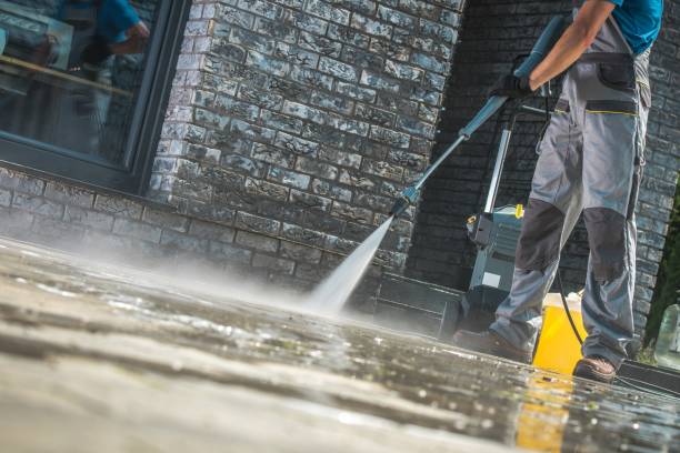 Best Roof Washing  in Rolla, MO